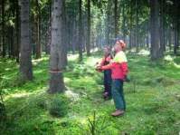 Theoretische und praktische Sägenausbildung