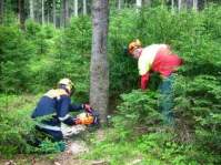 Theoretische und praktische Sägenausbildung