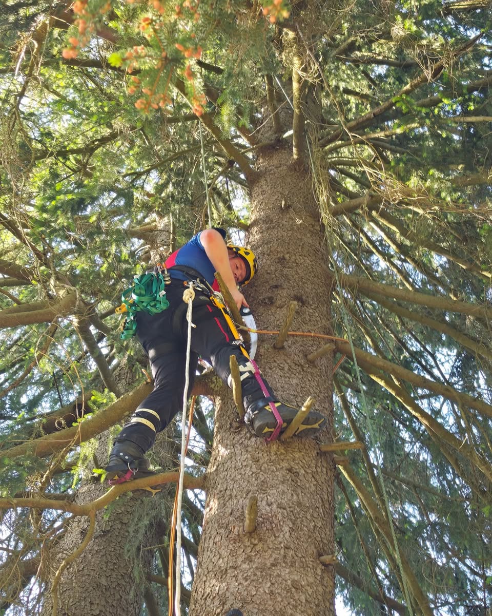 AUSBILDUNG RETTUNG EINES GLEITSCHIRMFLIEGERS - Bild 4
