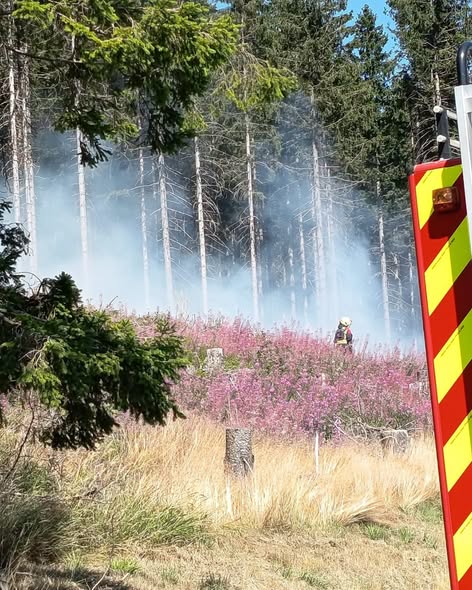 Vegetationsbrand vom 29.07.2026 - Bild 4