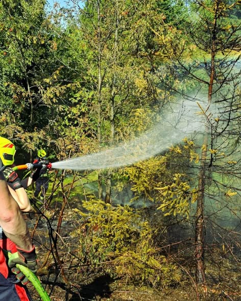 Vegetationsbrand vom 13.08.2026 - Bild 5