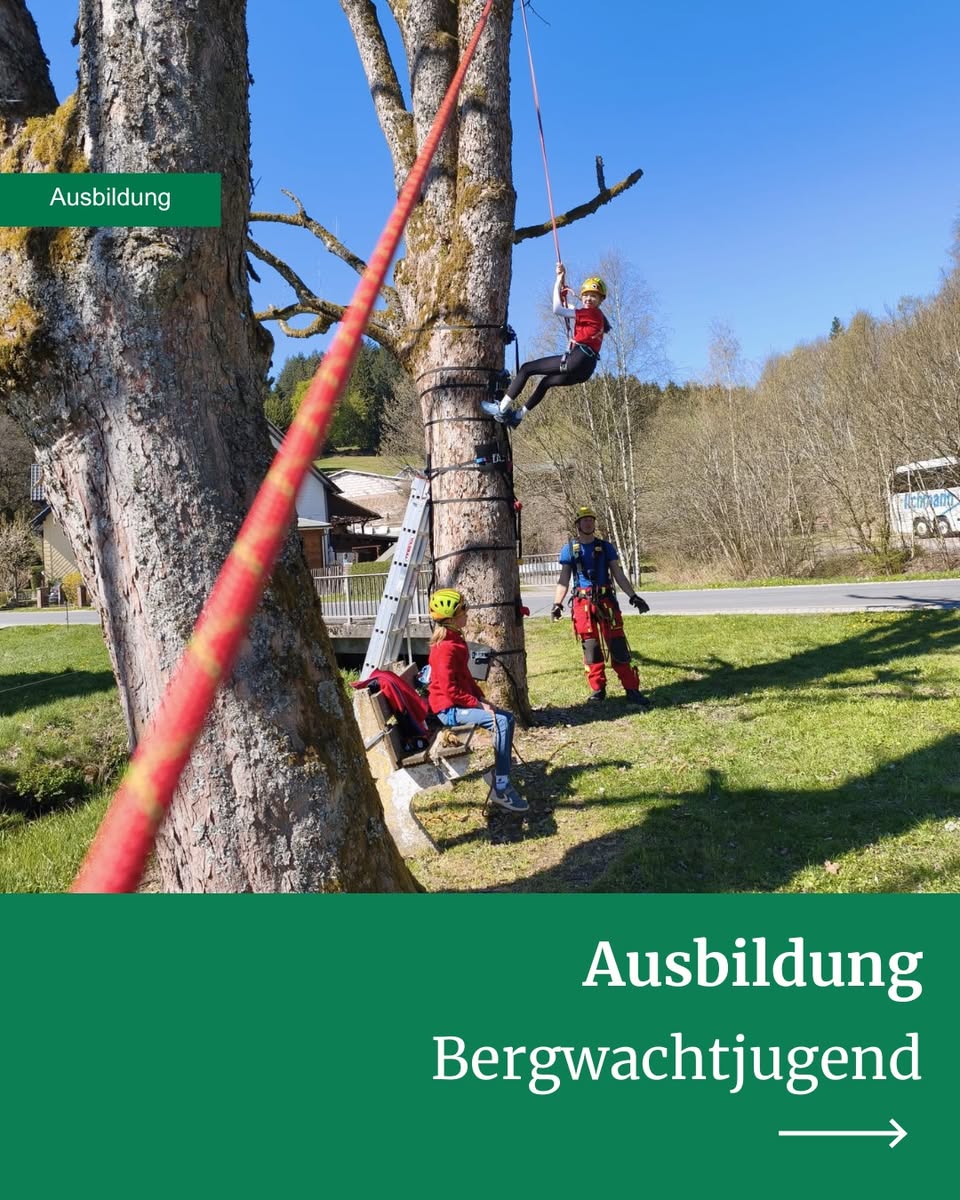 Hoch hinaus und fest verknotet: Jugendausbildung in Scheibe-Alsbach - Bild 1
