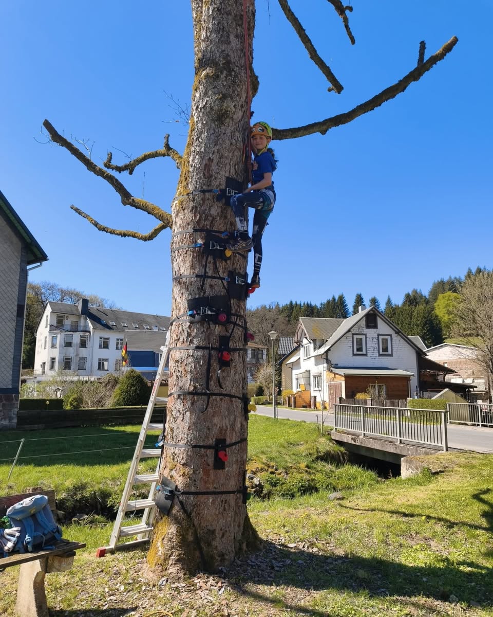 Hoch hinaus und fest verknotet jugendausbildung in scheibe alsbach 04