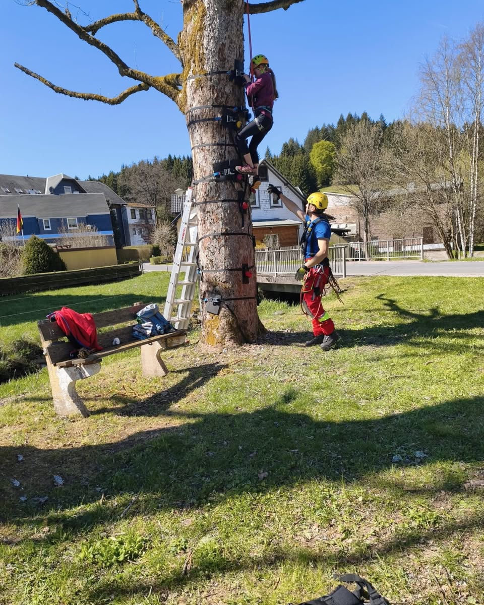 Hoch hinaus und fest verknotet jugendausbildung in scheibe alsbach 05